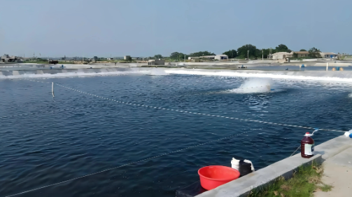 渔业水域环境在线监测浮标固定装置