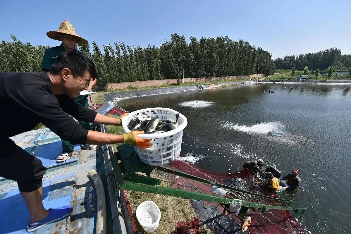 养殖水体水质监测仪的功能特点